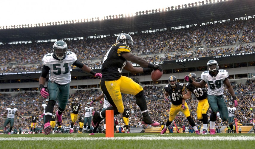 rashard mendenhall pittsburgh steelers touchdown