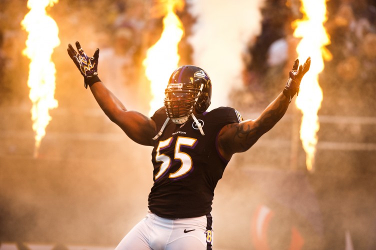 Terrell Suggs Baltimore Ravens linebacker
