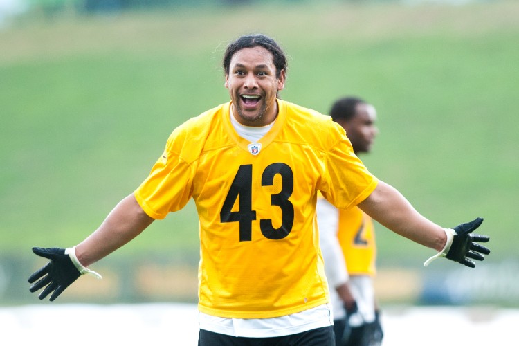 Troy Polamalu greets his kids at training camp